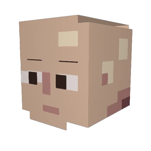 berkey1821 Minecraft avatar head, 3D render