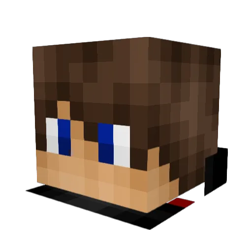 bernaabv_net3 Minecraft avatar head, 3D render