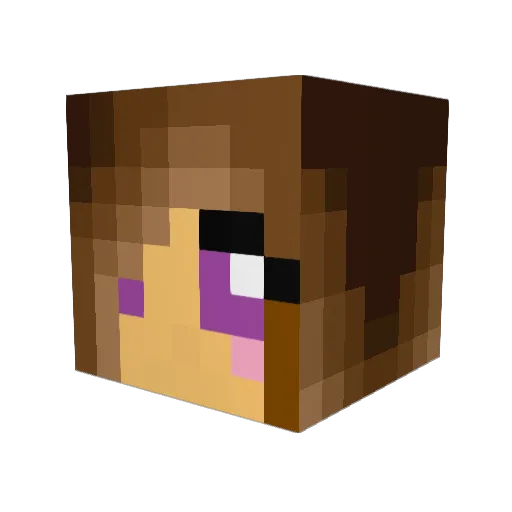 bernabibi Minecraft avatar head, 3D render