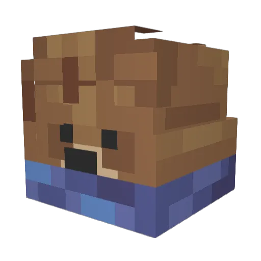 bernas306 Minecraft avatar head, 3D render