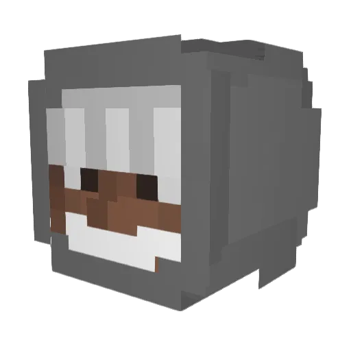 bernug Minecraft avatar head, 3D render