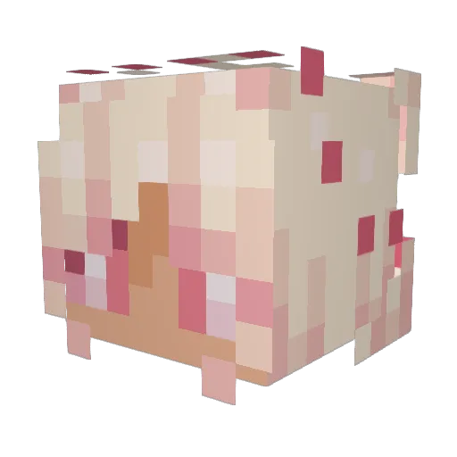 berryCHOMP Minecraft avatar head, 3D render
