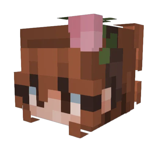 berryCZ_12 Minecraft avatar head, 3D render
