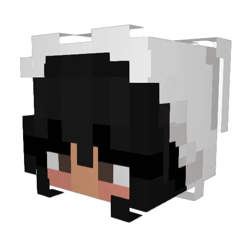 berrybaskets Minecraft avatar head, 3D render