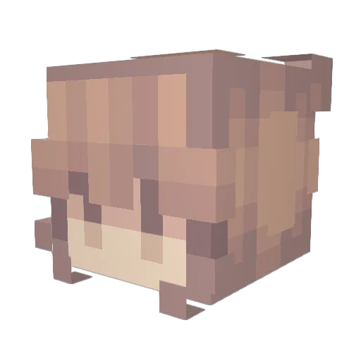 berrybubbless Minecraft avatar head, 3D render
