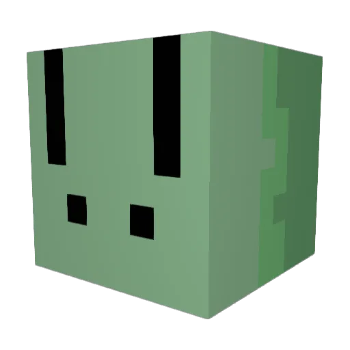 berrycool13 Minecraft avatar head, 3D render