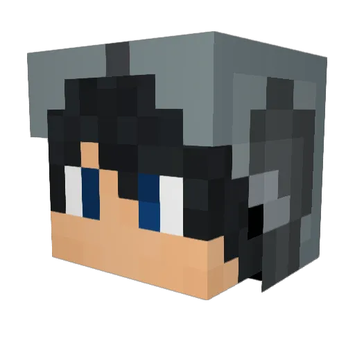 bertie1000000 Minecraft avatar head, 3D render