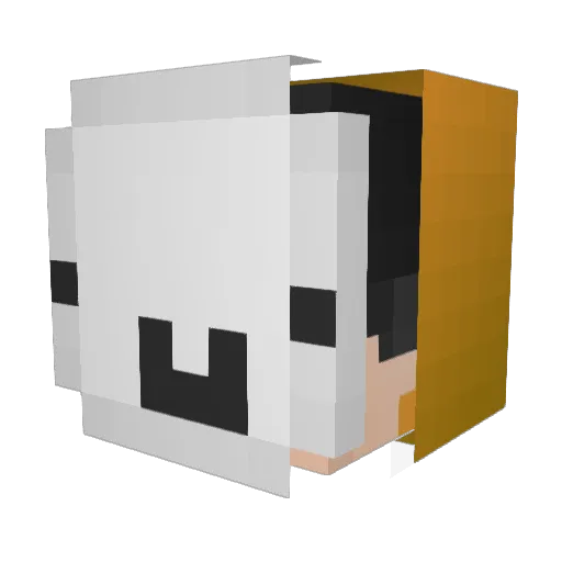 bertis255 Minecraft avatar head, 3D render
