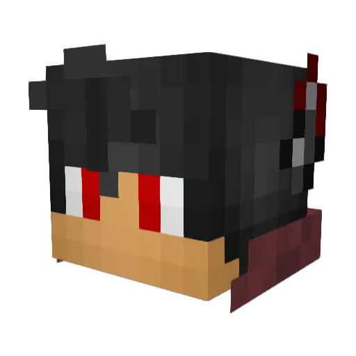 bertje_pro Minecraft avatar head, 3D render