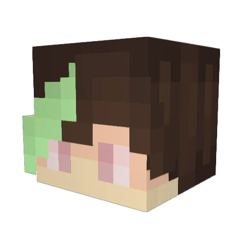 besoar Minecraft avatar head, 3D render