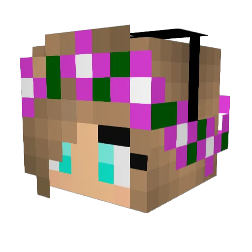 bestBlTCH Minecraft avatar head, 3D render