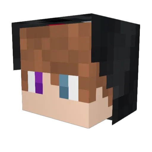 best_mcplayer_xD Minecraft avatar head, 3D render