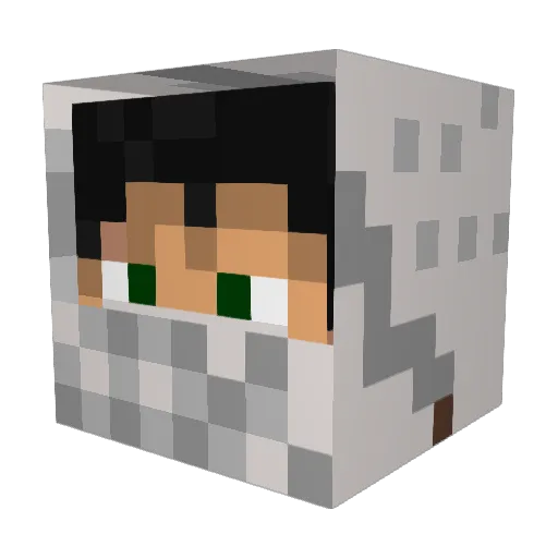 best_name_ever98 Minecraft avatar head, 3D render