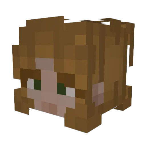 bestcraftastic Minecraft avatar head, 3D render