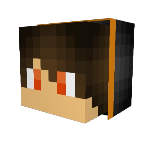 bestminer273 Minecraft avatar head, 3D render
