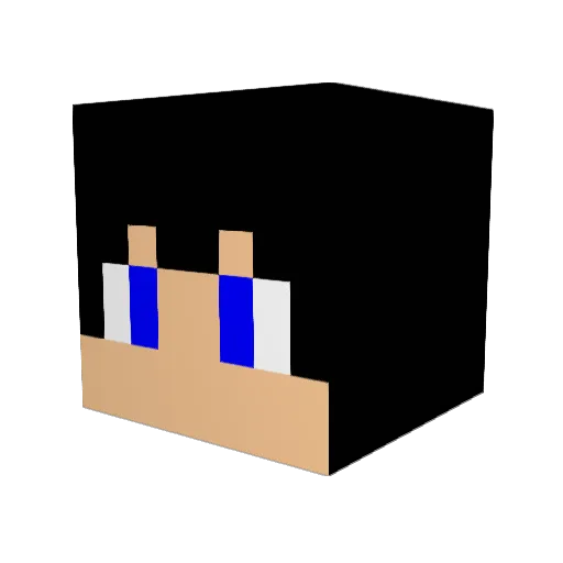 bestnewb Minecraft avatar head, 3D render