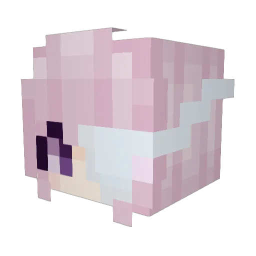 bestpvperww Minecraft avatar head, 3D render