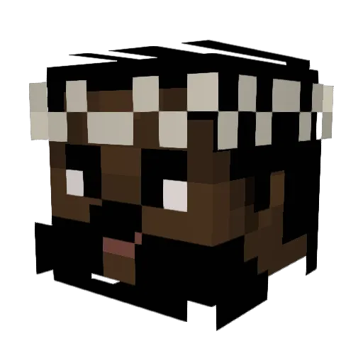 bet1 Minecraft avatar head, 3D render