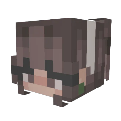 bethaannnyyyy Minecraft avatar head, 3D render