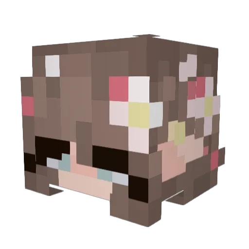 bethminopoli Minecraft avatar head, 3D render
