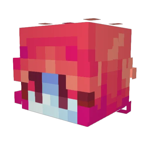 bethybear1006 Minecraft avatar head, 3D render