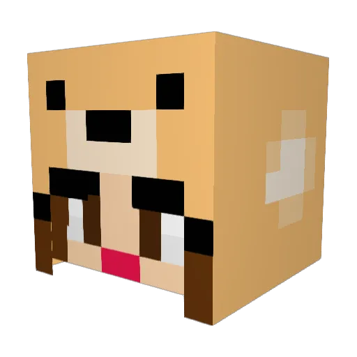 bethyboo5001 Minecraft avatar head, 3D render