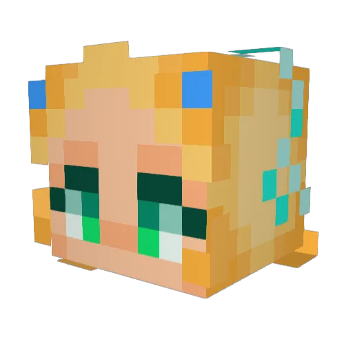 bethyo27 Minecraft avatar head, 3D render