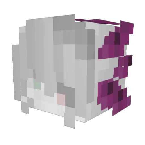 better_b_quiet Minecraft avatar head, 3D render