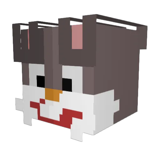 bettispaghettii Minecraft avatar head, 3D render