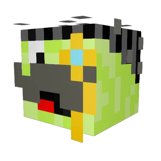bewildered229 Minecraft avatar head, 3D render