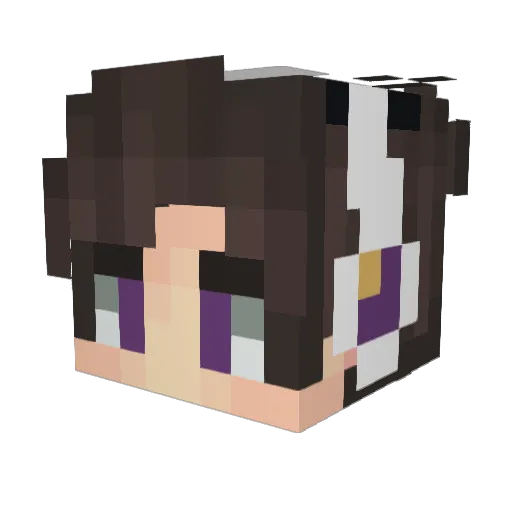 bexings Minecraft avatar head, 3D render