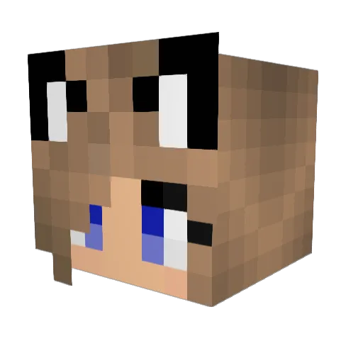 beyzosh Minecraft avatar head, 3D render