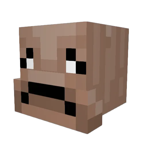 bffman200 Minecraft avatar head, 3D render