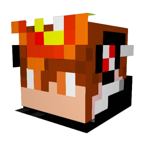 bfgpc100 Minecraft avatar head, 3D render