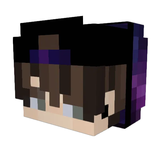 bfjfs Minecraft avatar head, 3D render