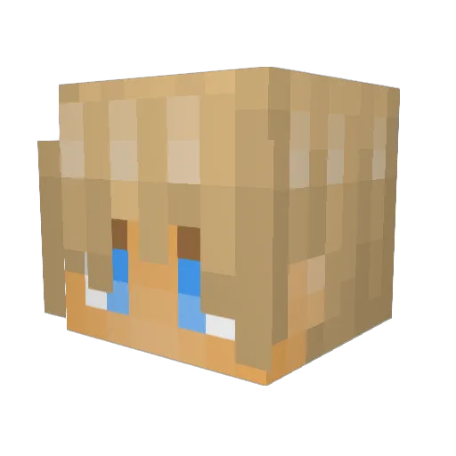bfoxy99 Minecraft avatar head, 3D render