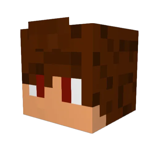 bfr04 Minecraft avatar head, 3D render