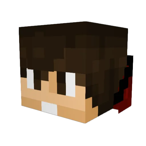 bgass10 Minecraft avatar head, 3D render