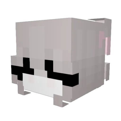 bgd Minecraft avatar head, 3D render