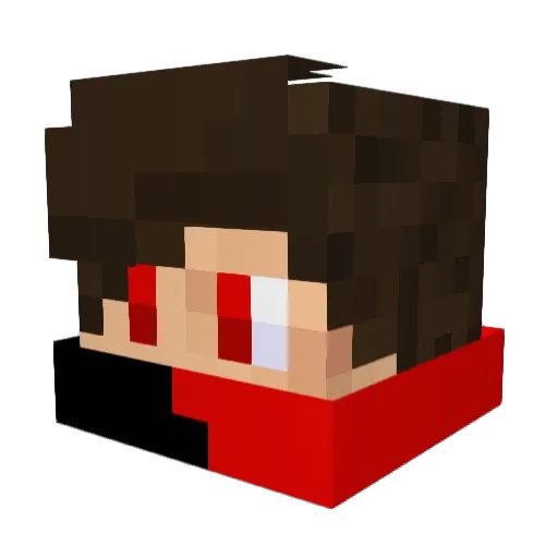 bgmoana Minecraft avatar head, 3D render
