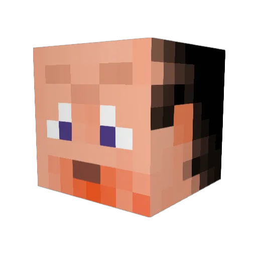 bgrooms Minecraft avatar head, 3D render