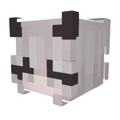 bgsgaming12 Minecraft avatar head, 3D render