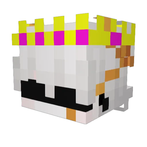 bhale77 Minecraft avatar head, 3D render