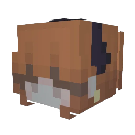 bhbr Minecraft avatar head, 3D render
