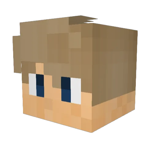 bhlt1998 Minecraft avatar head, 3D render