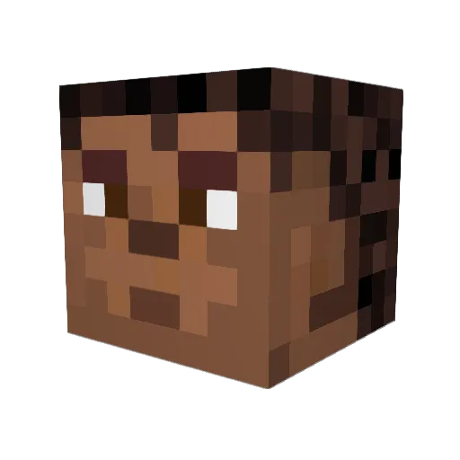 bhminecraft14 Minecraft avatar head, 3D render