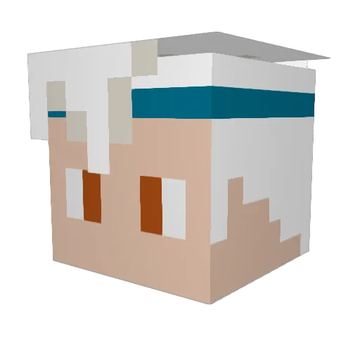 bht_mann Minecraft avatar head, 3D render