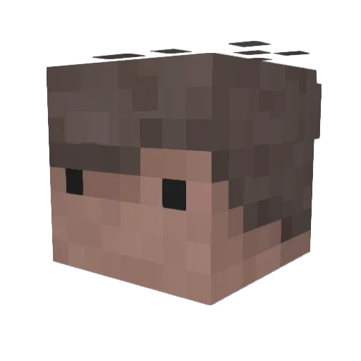 bhy2850 Minecraft avatar head, 3D render