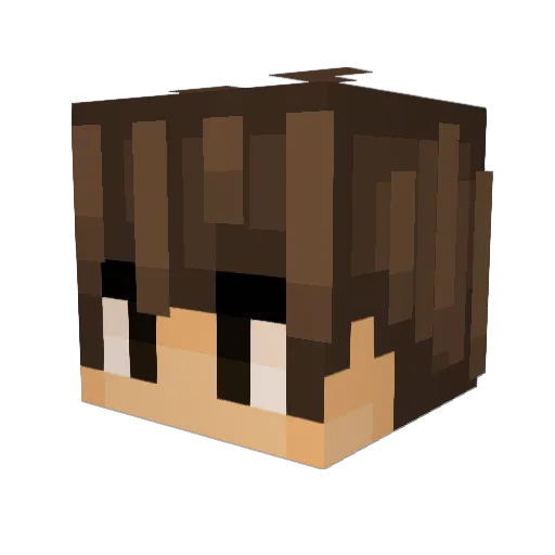 bi0lumi Minecraft avatar head, 3D render