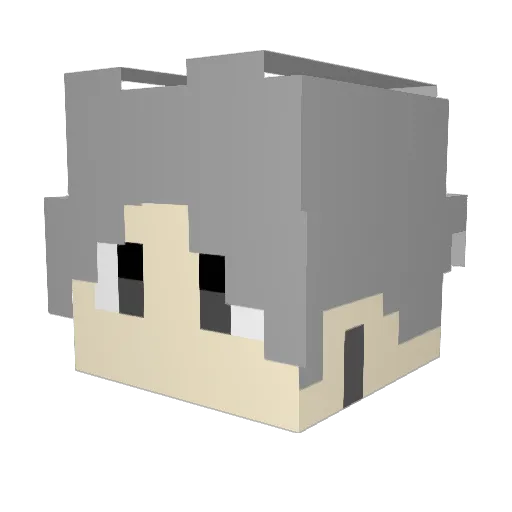 bi8bo996 Minecraft avatar head, 3D render